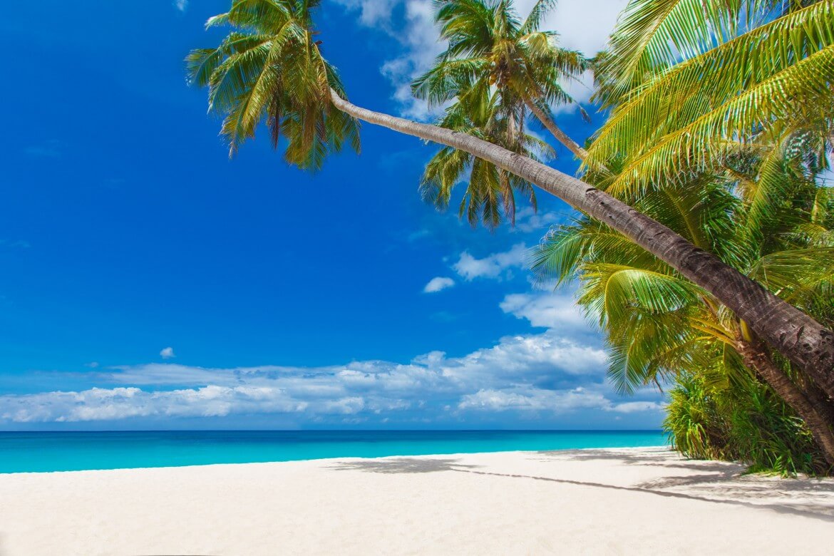 Tortola beach British Virgin Islands