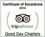 Trip Advisor Certificate of Excellence logo